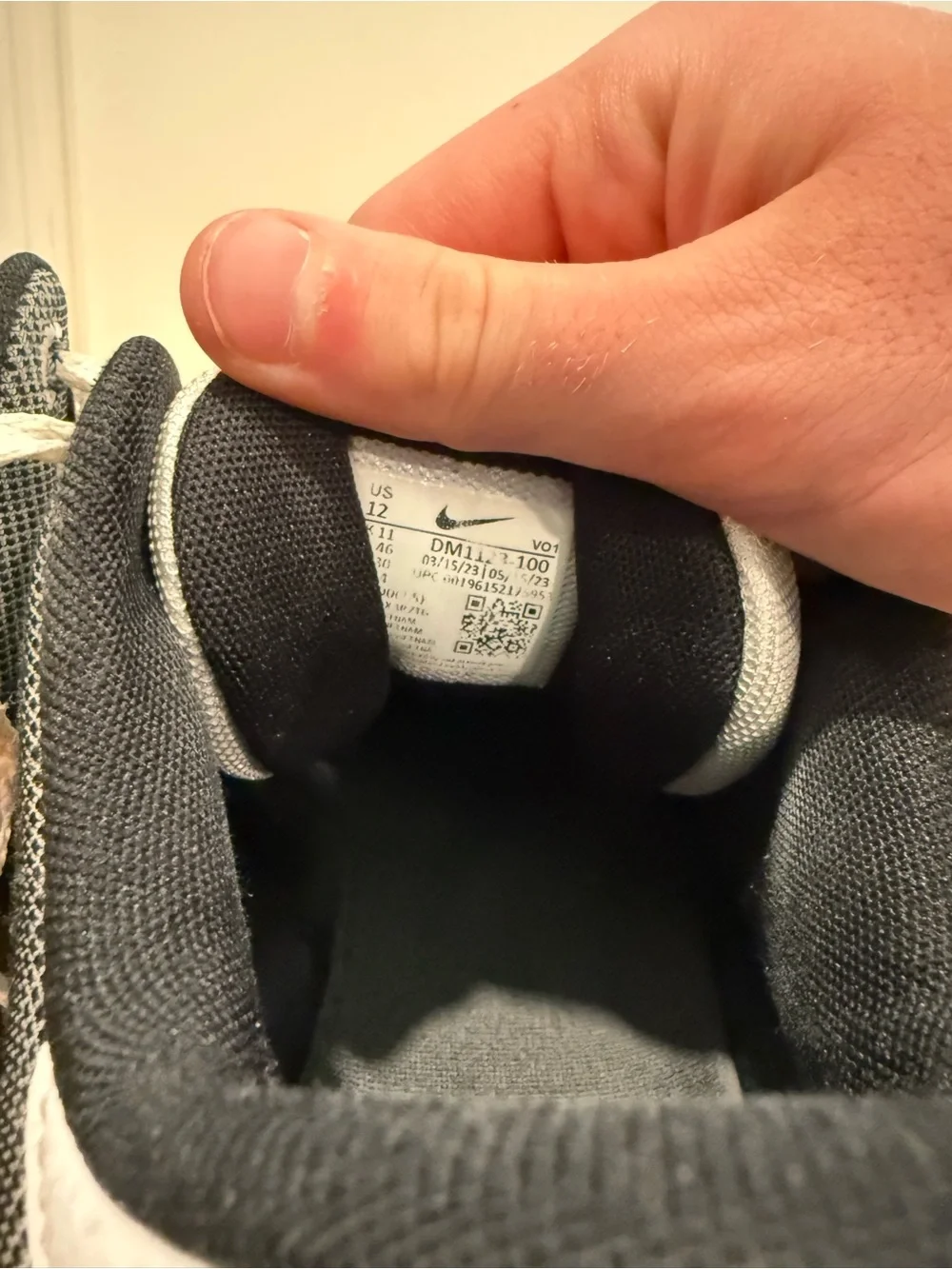 Nike Lebron Witness 6 Black/White